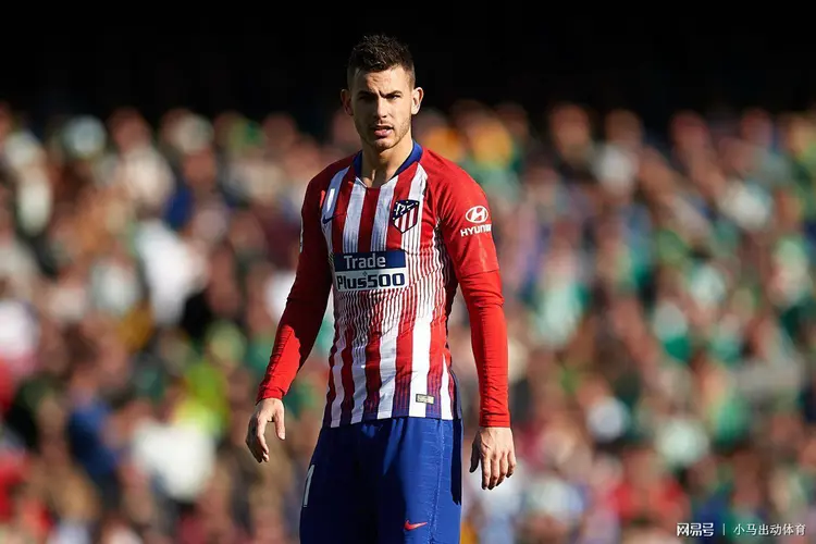 费尔南德斯简介